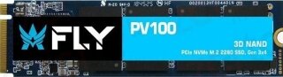 Fly PV100 256 GB (FPV1000256PR) SSD kullananlar yorumlar